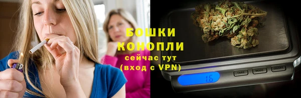 соль ск Ельня
