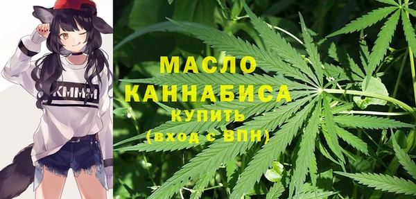 индика Заволжье