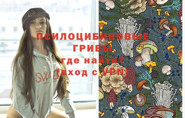 соль ск Ельня