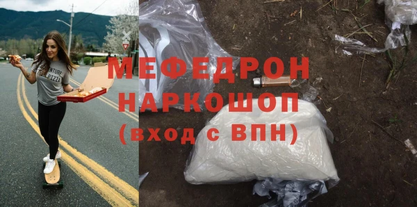 соль ск Ельня