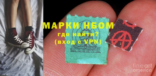 соль ск Ельня