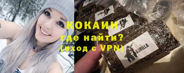 индика Заволжье