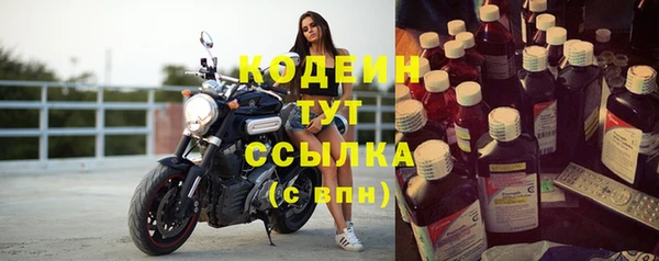 прущие грибы Заволжск